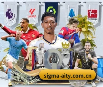 sigma-aity.com.cn APP